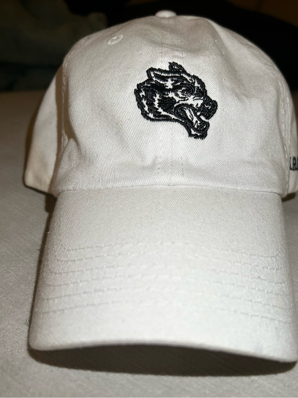 Rare Darc Sport “Never F*cking Give Up” White Cap